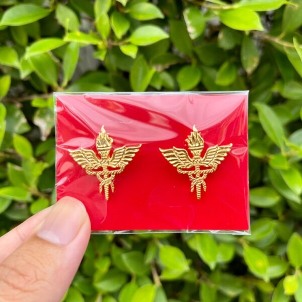 เข็มติดกนกคอ-กระทรวงสาธารณสุข/เข็มติดปกคอเสื้อ-งานแกะมืออย่างดี